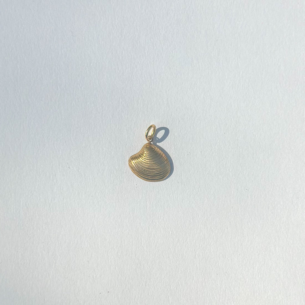 seashell charm