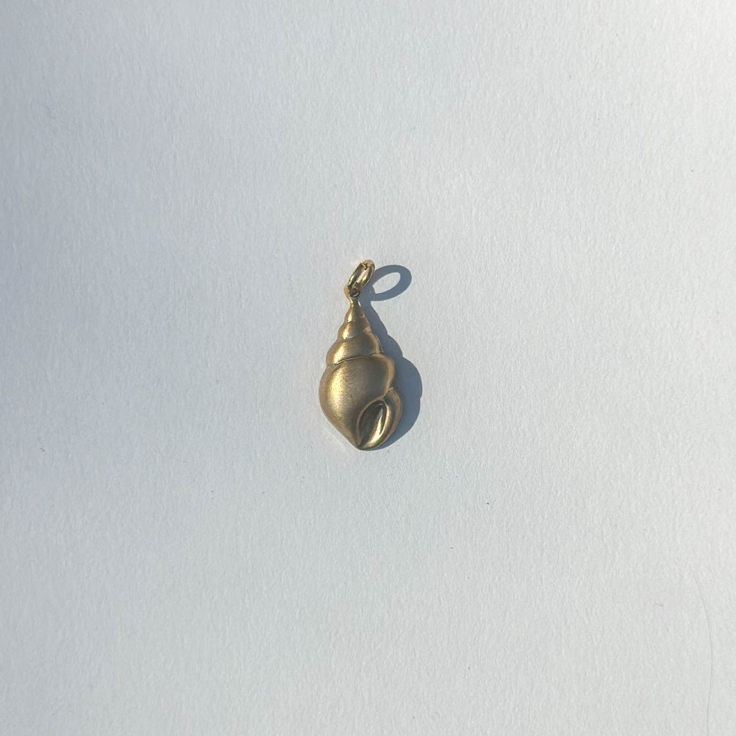 conch shell charm