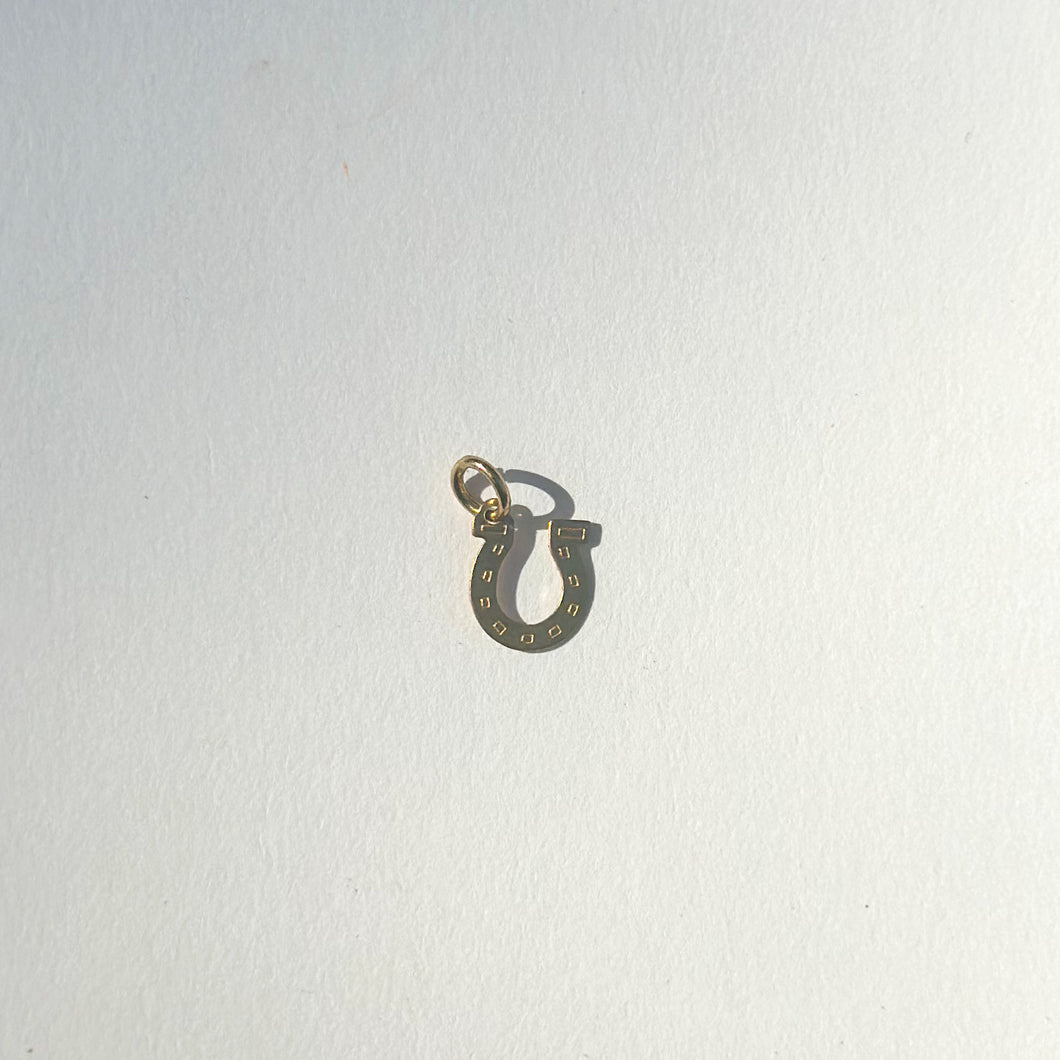 horseshoe charm